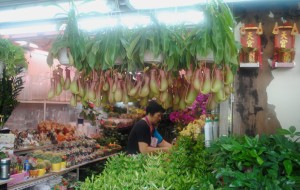 Hong Kong Flower Market Pitcher Plants for Sale